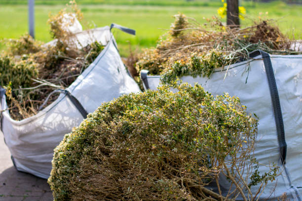 Best Local Junk Hauling  in Antwerp, OH