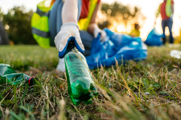 Best Yard Cleanup Services  in Antwerp, OH